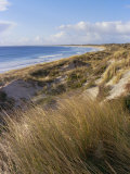Northern Beach  Chatham Islands Islands