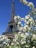 Eiffel Tower  Paris  France