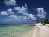 Palm-Fringed Beach  Cayman Kai  Grand Cayman  Cayman Islands  West Indies  Central America