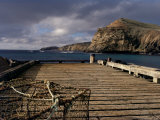 Pitt Island  Chatham Islands Islands