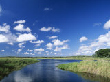 View from Riverbank of White Clouds and Blue Sky  Myakka River State Park  Near Sarasota  USA
