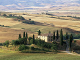 Farmhouse and Cypress Trees in the Early Morning  San Quirico d'Orcia  Tuscany  Italy