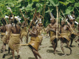 Yali People Dancing at a Ceremony  Membegan  Irian Jaya  New Guinea  Indonesia
