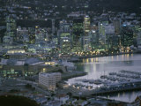 Te Papa Museum Marina and City Lights in the Evening  Wellington  North Island  New Zealand
