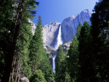 Upper and Lower Yosemite Falls  Swollen by Summer Snowmelt  Yosemite National Park  California