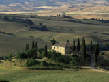 Farmhouse and Cypress Tres in the Earning Morning  San Quirico d'Orcia  Tuscany  Italy
