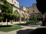Cloister Garden  Tarragona Cathedral  Tarragona  Catalonia  Spain