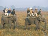 Safari on Elephant Back  Tourists in Kaziranga National Park  Assam State  India
