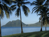 Morne Larcher  Baie De La Chery (Chery Bay)  Martinique  West Indies  Caribbean  Central America