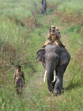 Game Guards Patrolling on Elephant Back  Kaziranga National Park  Assam State  India