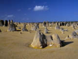 Limestone Pillars in the Pinnacles Desert  Nambung National Park  Western Australia  Australia