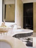 Bathroom of a Private Residence  Samode Bagh or Garden  Samode  Rajasthan State  India