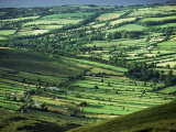View Towards Lough Derg from Arra Mountains  County Clare  Munster  Republic of Ireland (Eire)