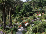 Abbey Gardens  Tresco  Isles of Scilly  United Kingdom