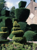 Topiary  Levens Hall  Cumbria  England  United Kingdom