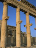 Ruins of the Colonnade  Palmyra  Unesco World Heritage Site  Syria  Middle East