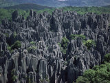 Limestone Stone Forest  Near Kunming  Yunnan Province  China