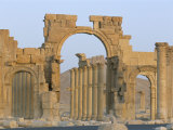 Ruins  Palmyra  Unesco World Heritage Site  Syria  Middle East