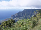Puu O Kila Lookout on the Na Pali Coast  Kauai  Hawaii  Hawaiian Islands  USA