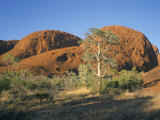Unusual Weathered Rock Formation  the Olgas  Northern Territory  Australia