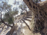 Roman Theatre  Nyasa  Turkey  Eurasia