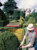 Topiary  Levens Hall  Cumbria  England  United Kingdom