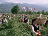 Rose Festival  Bulgaria