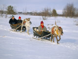 Southern Lapp Man with Reindeer Sledge  Roros  Norway  Scandinavia