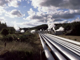 Wairekei Geothermal Power Station  North Island  New Zealand