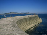 Cobb Quay (The Cobb)  Lyme Regis  Dorset  England  United Kingdom
