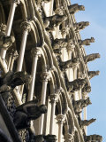 Facade with False Gargoyles  Eglise Notre-Dame  Dijon  Burgundy  France