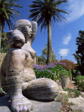 Abbey Gardens  Tresco  Isles of Scilly  United Kingdom