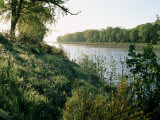 River Tay at Caputh Bridge  Tayside  Scotland  United Kingdom