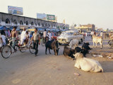 Marketplace  Puri  Orissa State  India