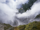Thermal Activity  Karapiti Area  Taupo  South Auckland  North Island  New Zealand