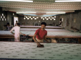 Toy and Joy Contemporary Jaipur Hand Block Printing Works  Jaipur  Rajasthan State  India