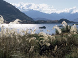 Lake Wanaka  Otago  South Island  New Zealand
