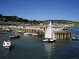 Lyme Regis from Cobb Quay  Lyme Regis  Dorset  England  United Kingdom