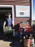 Dale Marchland Selling Malpeque Oysters  Malpeque  Prince Edward Island  Canada