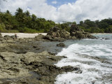 Manuel Antonio National Park  Costa Rica  Central America