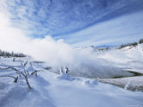 Geysers in Yellowstone National Park  Unesco World Heritage Site  Montana  USA