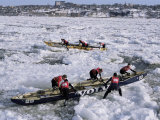 Ice Canoe Races on the St Lawrence River During Winter Carnival  Quebec  Canada