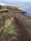 Cavendish Coast  Prince Edward Island  Canada