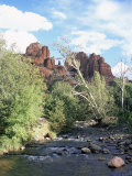 Red Rocks  Sedona  Arizona  USA