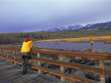Bird Sanctuary at Potter's Marsh  Anchorage  Alaska  USA