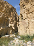Wadi Mujib Gorge  Wadi Mujib  Jordan  Middle East