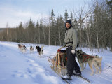Dog Sledding with Aventure Inukshuk  Quebec  Canada