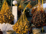 Dates for Sale  Palmyra  Syria  Middle East