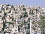 View of Old City  Amman  Jordan  Middle East