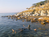 Man Floating in Dead Sea  Jordan  Middle East